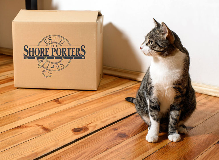 an image of a cat staring away with a Shore Porters box beside it